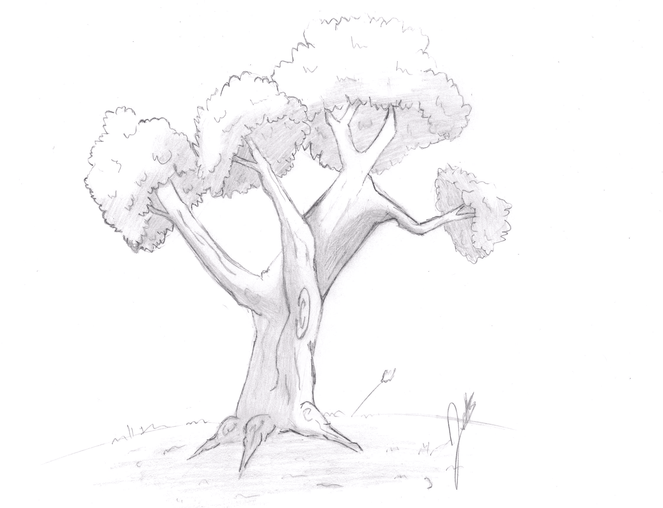 Drawing sample