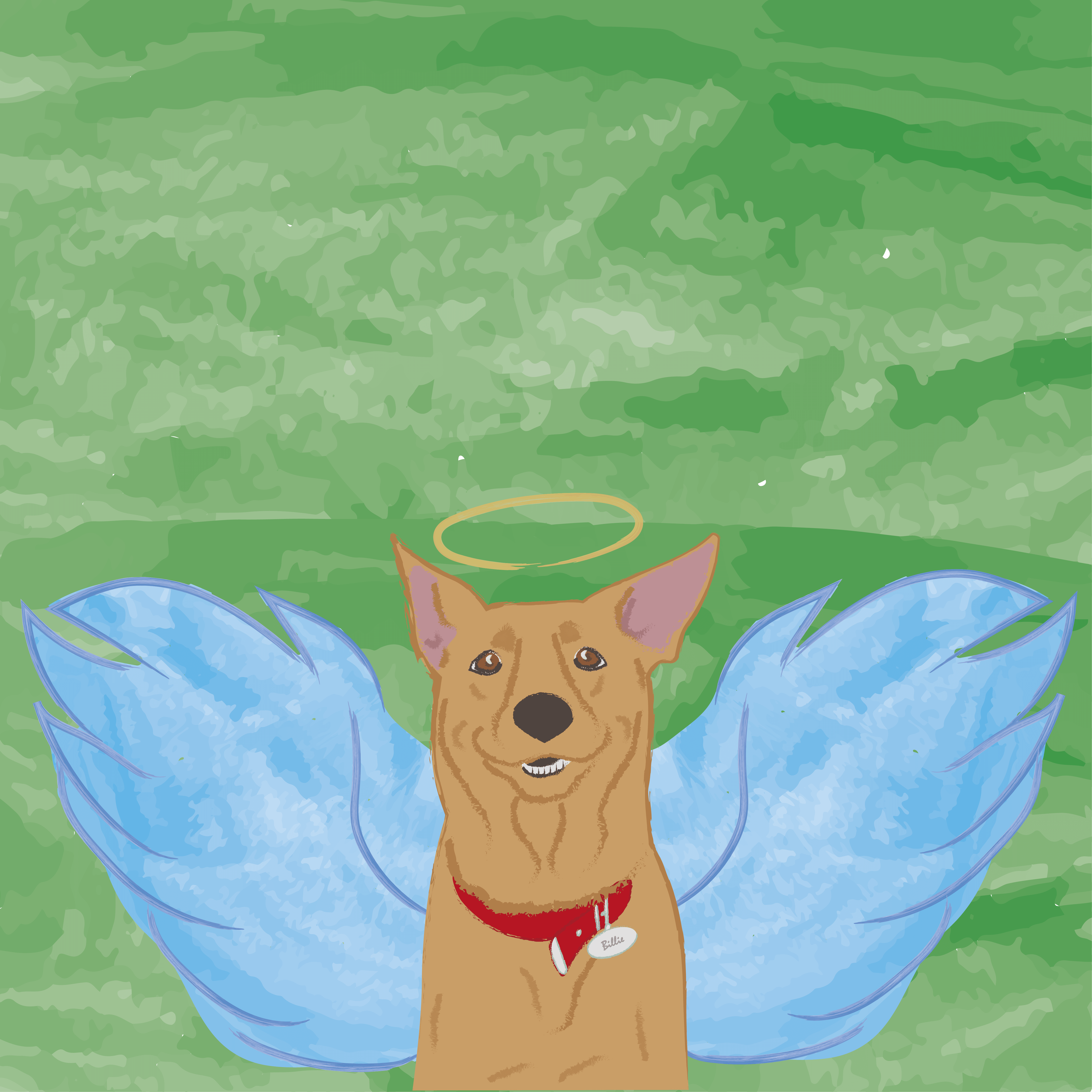 Drawing sample