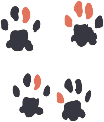 Vinagre's paws