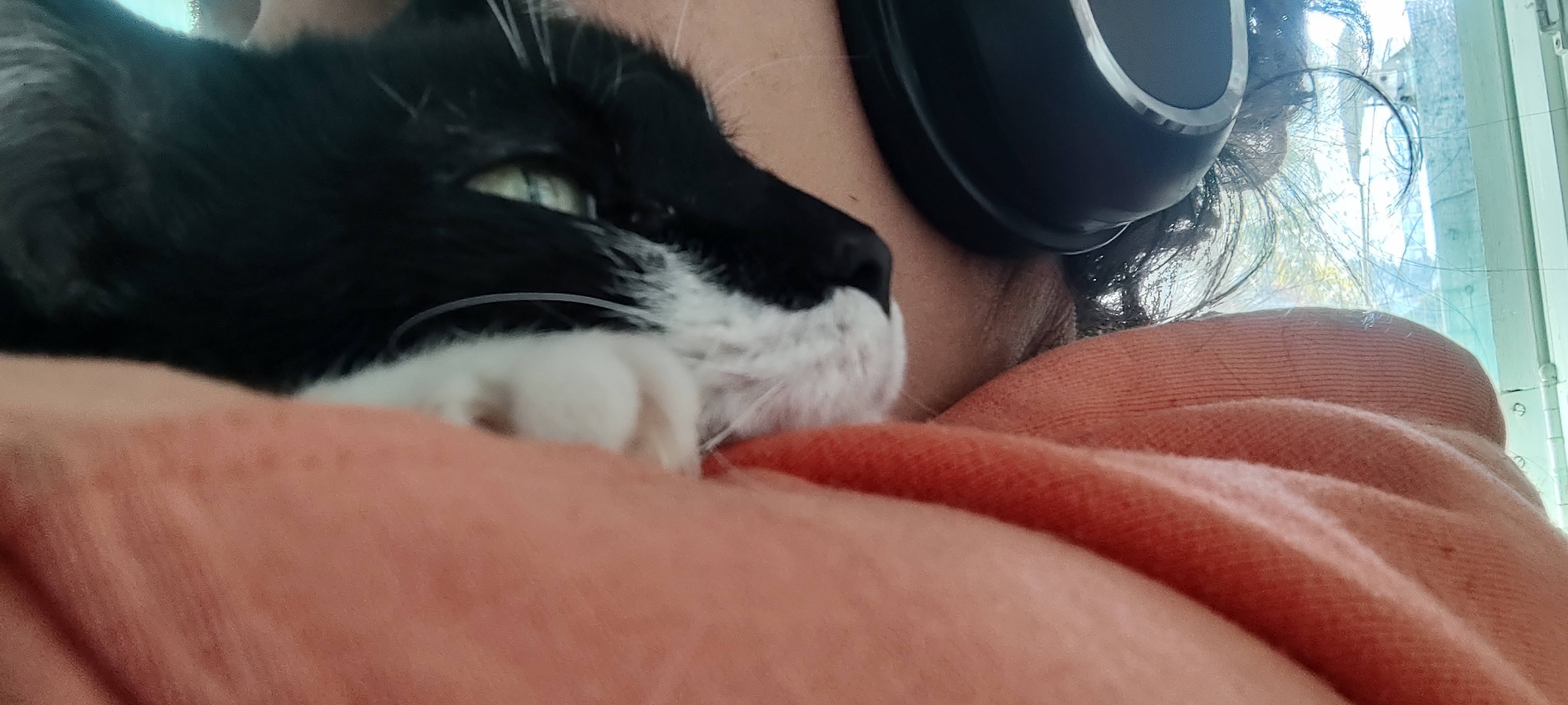 Vinagre in my arms, giving my shoulder a hug